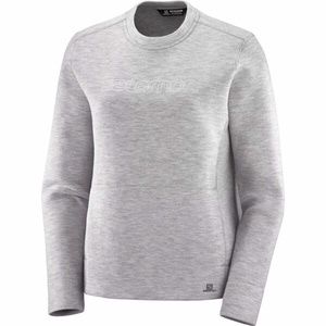 Salomon Sight Crew Neck- Alloy/Lunar Rock